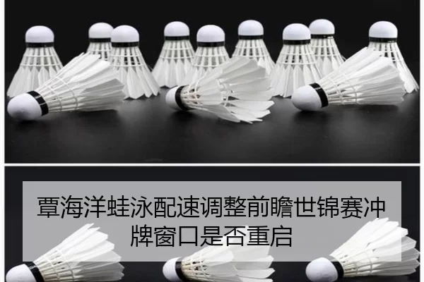 覃海洋蛙泳配速调整前瞻世锦赛冲牌窗口是否重启