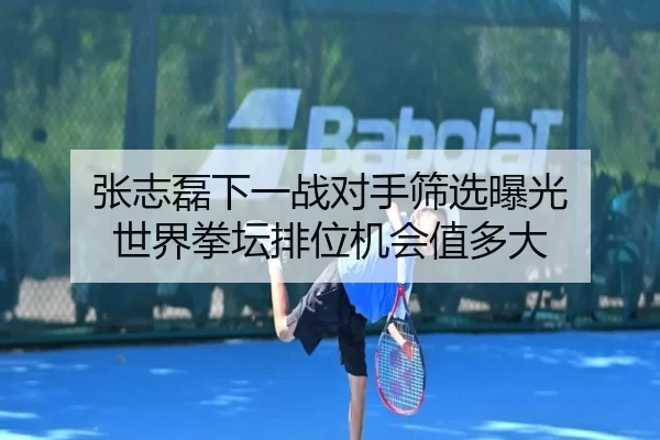 张志磊下一战对手筛选曝光 世界拳坛排位机会值多大