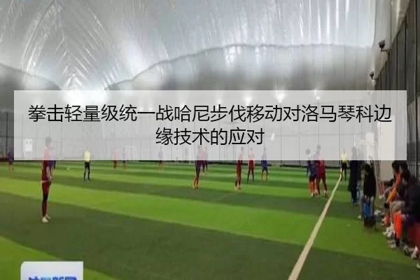 拳击轻量级统一战哈尼步伐移动对洛马琴科边缘技术的应对